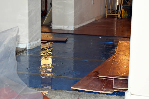Professional Sewage Cleanup technician working in Stamford, CT